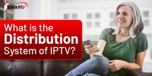 What is the Distribution System of IPTV